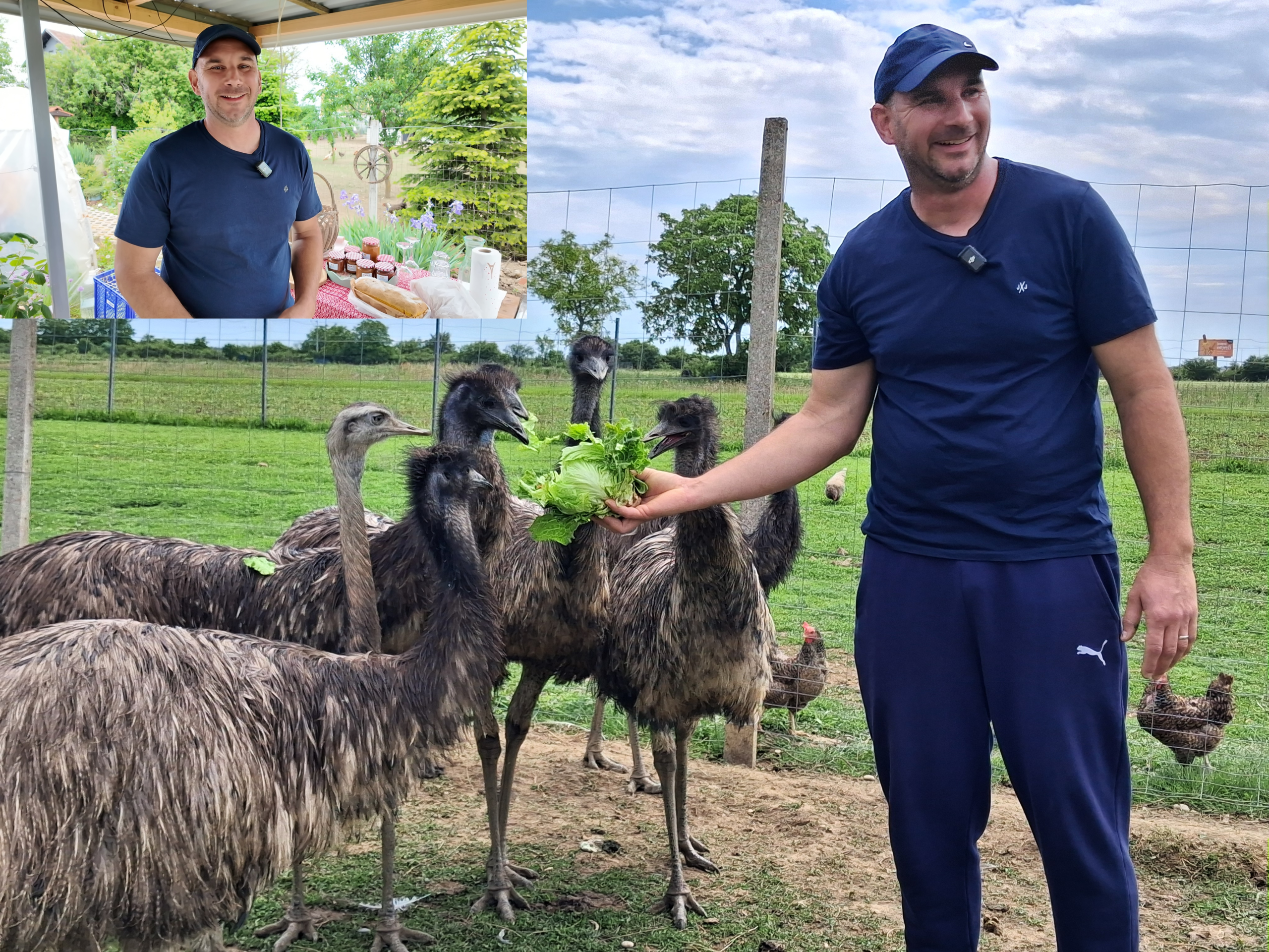 VIDEO Australski turopoljci koji vole češkanje