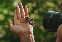 Otvoreno glasanje publike za najbolju fotografiju natječaja „Volim svoju županiju“