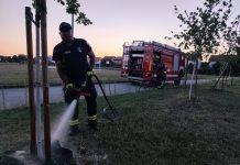 Velikogorički vatrogasci na važnom zadatku: čuvaju mlada stabla od suše