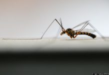 Stigla potvrda HZJZ-a – tri osobe u Hrvatskoj zaražene su ovim virusom! Evo kako se prenosi