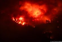 Četvero ljudi povezano s požarima na zadarskom području priznalo krivnju