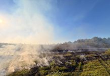 Vatrogasci satima gasili veliki požar u Ruči, izgorjele livade i 14 bala sijena