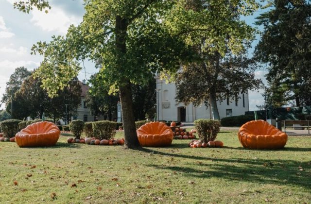 BUČIJADA IVANIĆ-GRAD FOTO WAVES KOMUNIKACIJE (3)