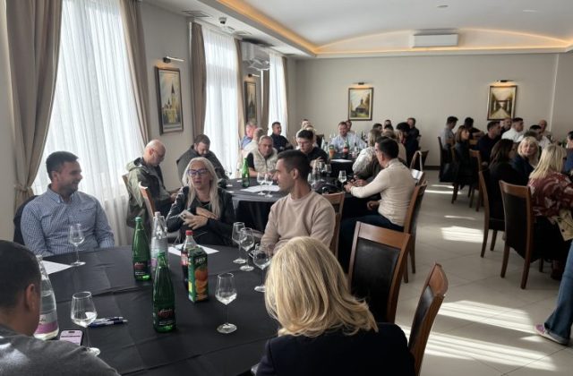 Dodjela potpora poduzetnicima za konkurentnost (17)