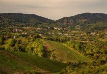 Rujan u Zagrebačkoj županiji pun događanja: Vino, koncerti, sport i tradicija