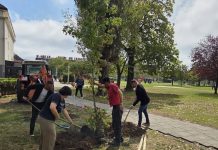 Velika Gorica dobiva još zelenila: U Parku Franje Tuđmana posađena nova stabla