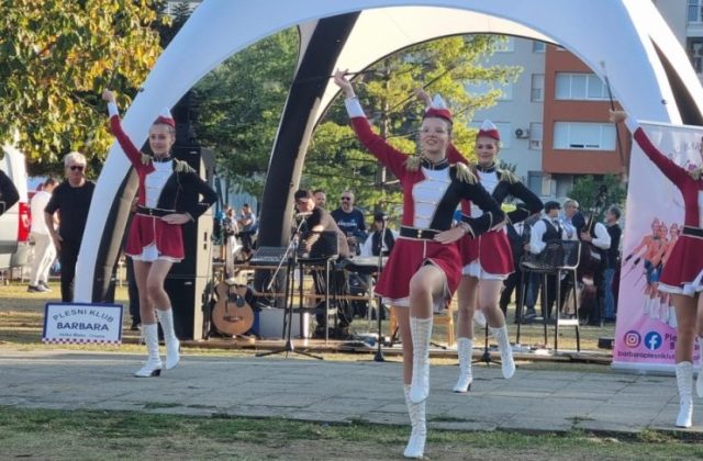 seniorke mini ŠTS- 2