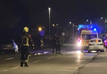 Policija, hitna i vatrogasci na terenu u Japinoj
