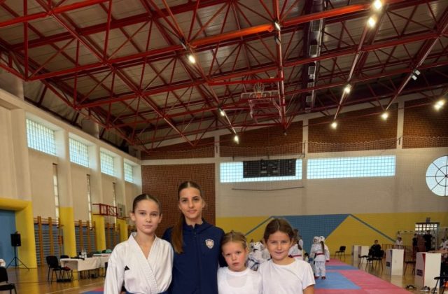 DARFEST KARATE KLUB VELIKA GORICA 3.10 (5)