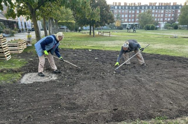 PRVA SADNJA CVIJEĆA TUĐMANAC VG KOMUNALAC FOTO MORENA MARTINOVIĆ RVG 19.10 (6)