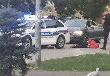 Potjera na Cibljanici, tijekom bijega izgurao nekoliko automobila – „Preletio je pored nas”