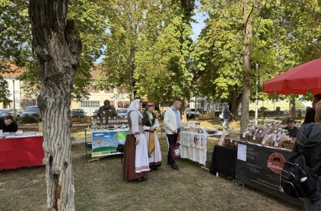 petek na gorice 2.10 (15)