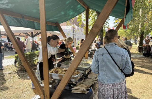 petek na gorice 2.10 (18)